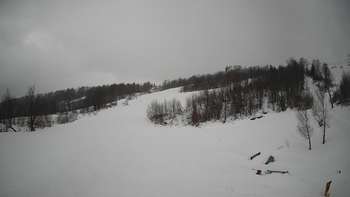 Красія 20 лютого 2019 року, 2019-02-20 13:00