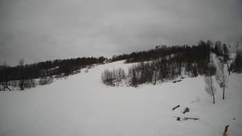 Красія 21 лютого 2019 року, 2019-02-21 10:00