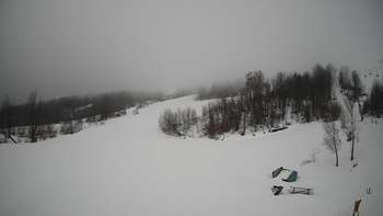 Красія 17 березня 2019 року, 2019-03-17 10:00