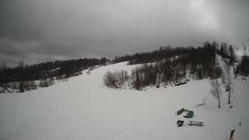 Красія 17 березня 2019 року, 2019-03-17 13:00