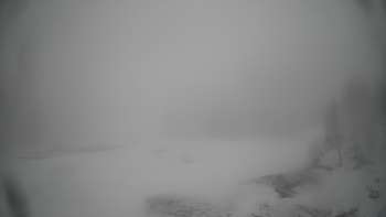 Красія 11 березня 2020 року, 2020-03-11 13:00