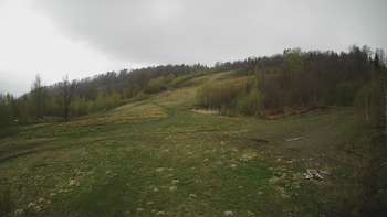 Красія 3 травня 2020 року, 2020-05-03 13:00