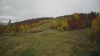 Красія 29 жовтня 2020 року, 2020-10-29 16:00