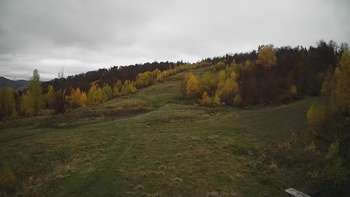 Красія 4 листопада 2020 року, 2020-11-04 13:00