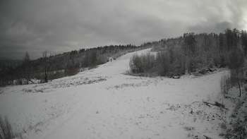 Красія 10 січня 2021 року, 2021-01-10 13:00