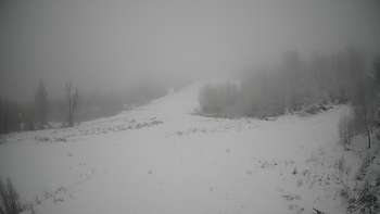 Красія 13 січня 2021 року, 2021-01-13 13:00