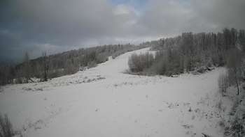 Красія 13 січня 2021 року, 2021-01-13 16:00