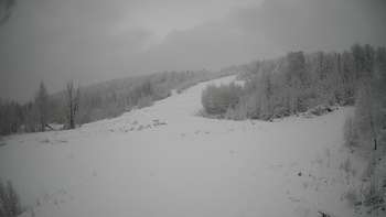 Красія 14 січня 2021 року, 2021-01-14 13:00