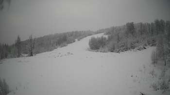 Красія 15 січня 2021 року, 2021-01-15 10:00