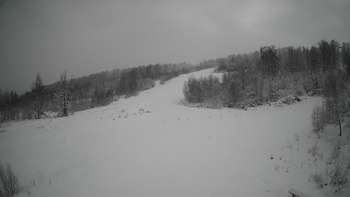 Красія 16 січня 2021 року, 2021-01-16 13:00