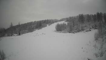 Красія 17 січня 2021 року, 2021-01-17 10:00