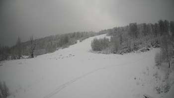 Красія 17 січня 2021 року, 2021-01-17 13:00
