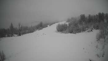 Красія 20 січня 2021 року, 2021-01-20 10:00