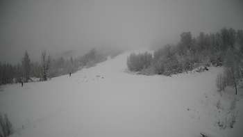 Красія 20 січня 2021 року, 2021-01-20 13:00
