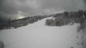 Красія 21 січня 2021 року, 2021-01-21 10:00