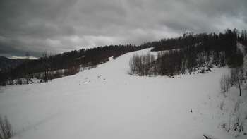 Красія 21 січня 2021 року, 2021-01-21 16:00