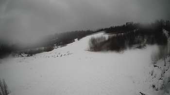 Красія 22 січня 2021 року, 2021-01-22 13:00