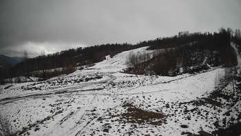 Красія 24 січня 2021 року, 2021-01-24 13:00