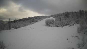 Красія 28 січня 2021 року, 2021-01-28 16:00