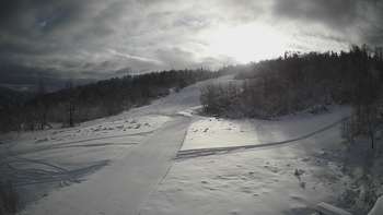 Красія 1 лютого 2021 року, 2021-02-01 10:00
