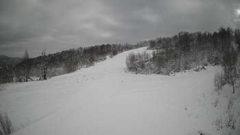 Красія 1 лютого 2021 року, 2021-02-01 13:00