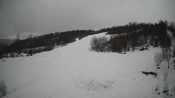 Красія 1 березня 2021 року, 2021-03-01 13:00