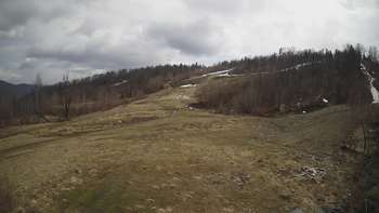 Красія 24 квітня 2021 року, 2021-04-24 13:00