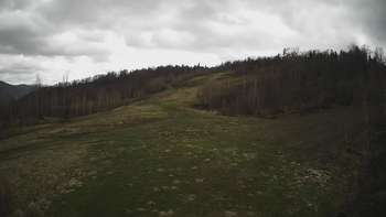 Красія 8 травня 2021 року, 2021-05-08 13:00