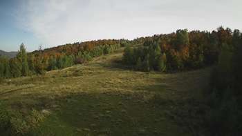 Красія 7 жовтня 2021 року, 2021-10-07 16:00