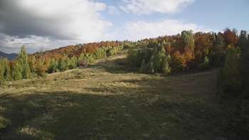 Красія 14 жовтня 2021 року, 2021-10-14 16:00