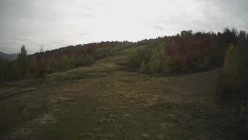 Красія 18 жовтня 2021 року, 2021-10-18 10:00