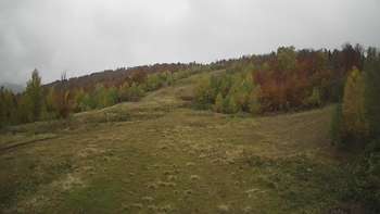 Красія 19 жовтня 2021 року, 2021-10-19 10:00
