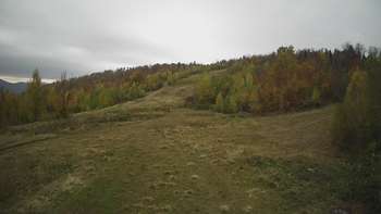 Красія 21 жовтня 2021 року, 2021-10-21 10:00