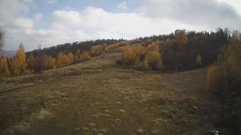 Красія 1 листопада 2021 року, 2021-11-01 13:00
