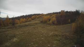 Красія 2 листопада 2021 року, 2021-11-02 13:00