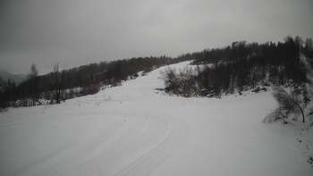 Красія 15 грудня 2021 року, 2021-12-15 13:00