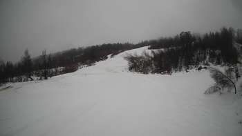 Красія 1 січня 2022 року, 2022-01-01 10:00