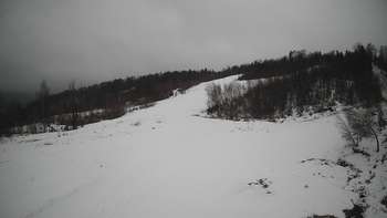 Красія 8 січня 2022 року, 2022-01-08 13:00