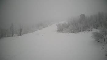 Красія 17 січня 2022 року, 2022-01-17 13:00