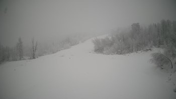 Красія 17 січня 2022 року, 2022-01-17 16:00