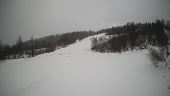 Красія 18 січня 2022 року, 2022-01-18 10:00