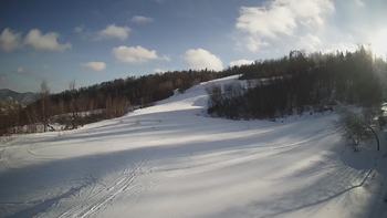 Красія 19 січня 2022 року, 2022-01-19 13:00
