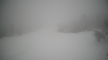 Красія 20 січня 2022 року, 2022-01-20 10:00