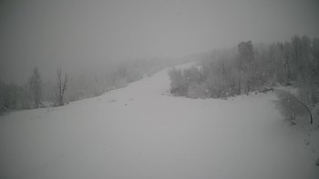Красія 20 січня 2022 року, 2022-01-20 13:00
