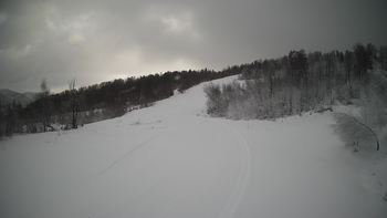 Красія 21 січня 2022 року, 2022-01-21 10:00
