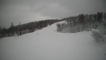 Красія 21 січня 2022 року, 2022-01-21 13:00