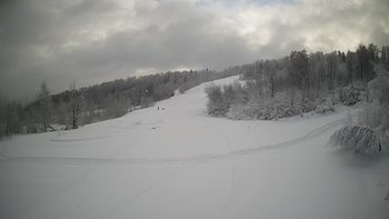 Красія 22 січня 2022 року, 2022-01-22 10:00