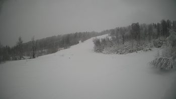 Красія 22 січня 2022 року, 2022-01-22 13:00