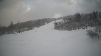 Красія 22 січня 2022 року, 2022-01-22 16:00
