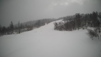 Красія 23 січня 2022 року, 2022-01-23 10:00